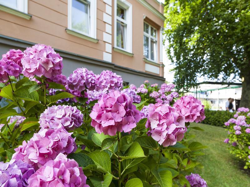 Ostseehotel Villen Im Park - Ein Rovell Hotel Heringsdorf  Bagian luar foto